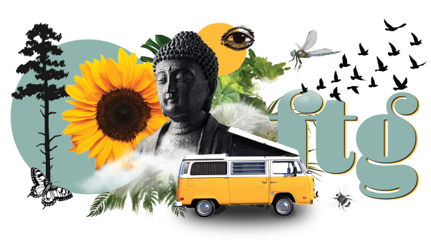 A collage of a buddha, sunflower, bus, birds, and natural elements representing For the Grateful